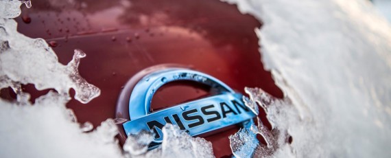 Nissan Leaf 30 kWh 2016