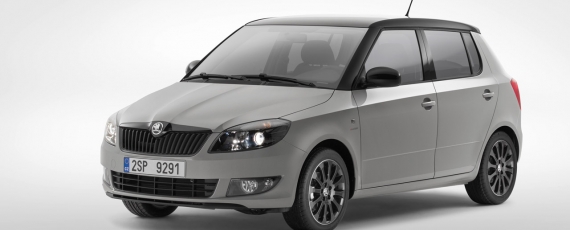 Skoda Fabia Reaction