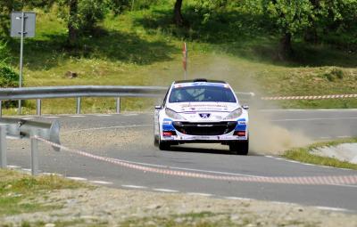 Raliul Sibiului 2013 - Francois Delecour