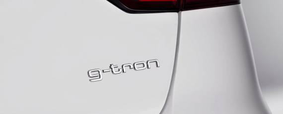 Audi A4 Avant g-tron (04)