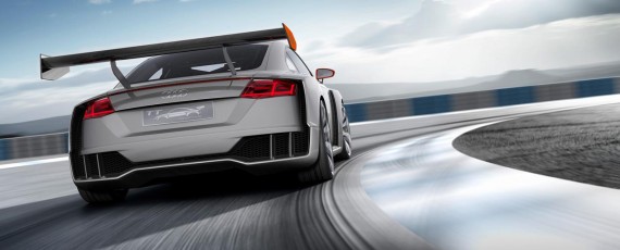 Audi TT clubsport turbo (04)