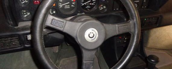 BMW M1 - Mint Classics (06)