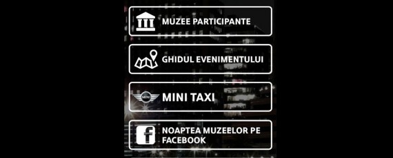 MINI - Noaptea Muzeelor 2015 (02)