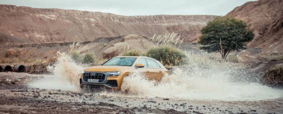 Noul Audi Q8 - lansare pe piata (03)