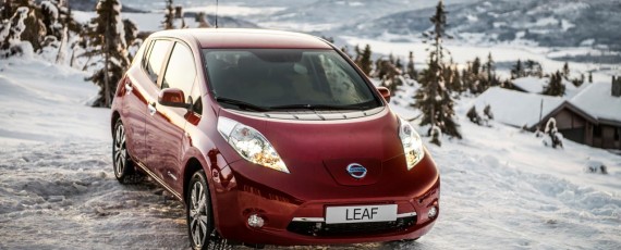 Nissan Leaf 30 kWh 2016 (06)