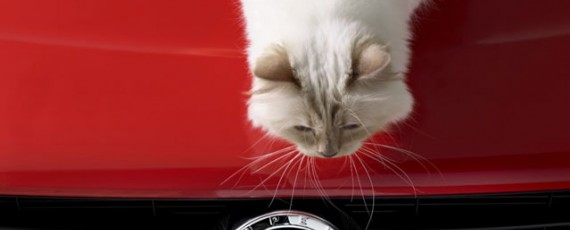 Opel Corsa fotografiat de Karl Lagerfeld - Choupette (03)