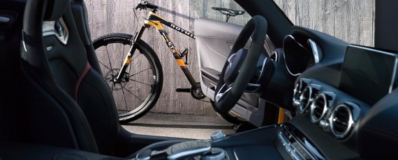 ROTWILD GT S (06)