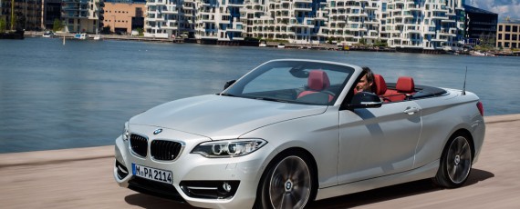BMW Seria 2 Cabriolet (01)