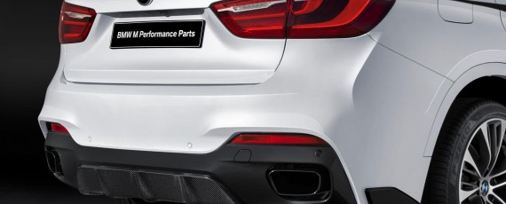 BMW X6 M Performance (06)
