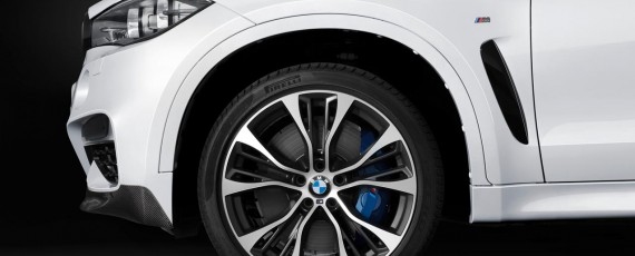 BMW X6 M Performance (08)