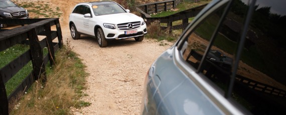 Mercedes-Benz SUV - Cucereste orice drum (13)