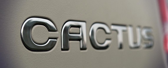 Test Drive Citroen C4 Cactus (14)