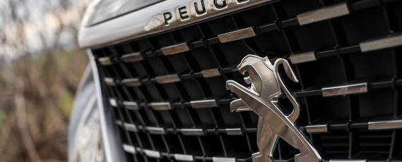 Test Peugeot 5008 GT (13)